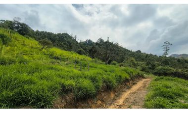 VENTA PARCELACION SAN JOSE