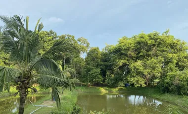 3 Bedroom House for sale in Tha Sai, Nakhon Nayok