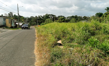 Inversiòn de Terreno Comercial de 6,560M2 en Vía Principal de Pedregal