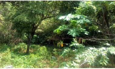 ¡Oportunidad! Venta de Terreno Residencial en Majagual de Veracruz