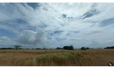 Venta Terreno de 55 Hectáreas en Penonomé a metros de la Panamericana