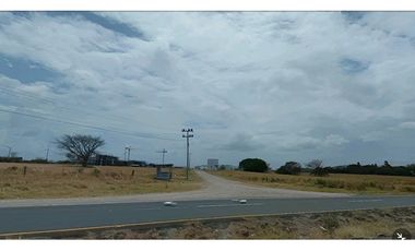 Venta Terreno de 55 Hectáreas en Penonomé a metros de la Panamericana