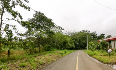 Se Vende Terreno para Proyecto Residencial en Chilibre-Don Bosco