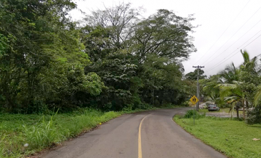 Se Vende Terreno para Proyecto Residencial en Chilibre-Don Bosco