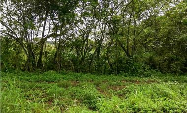 Se Vende Terreno para Proyecto Residencial en Chilibre-Don Bosco