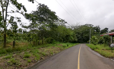 Se Vende Terreno para Proyecto Residencial en Chilibre-Don Bosco