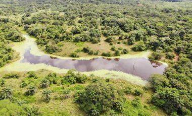 SE VENDE FINCA DE 1,200 HECTREAS EN SAN FELIX-CHIRIQUI