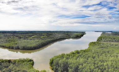 SE VENDE FINCA DE 1,200 HECTREAS EN SAN FELIX-CHIRIQUI