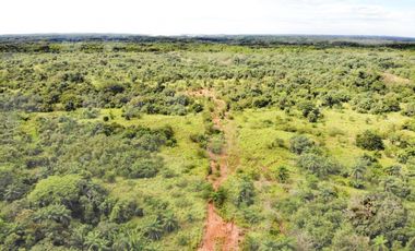 SE VENDE FINCA DE 1,200 HECTREAS EN SAN FELIX-CHIRIQUI
