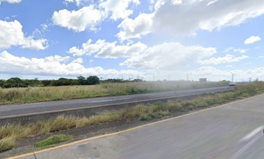 Se Vende Finca de 100 Hectáreas en Penonomé, sobre Via Panamericana
