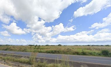 Se Vende Finca de 100 Hectáreas en Penonomé, sobre Via Panamericana