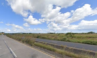 Se Vende Finca de 100 Hectáreas en Penonomé, sobre Via Panamericana