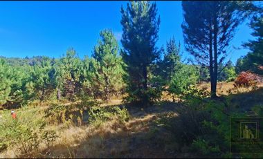 Parcela en venta en NACIMIENTO