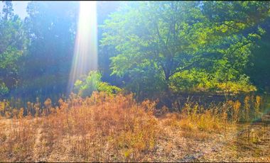 Parcela en venta en NACIMIENTO