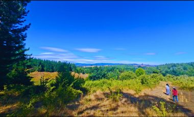 Parcela en venta en NACIMIENTO