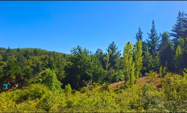 Parcela en venta en NACIMIENTO