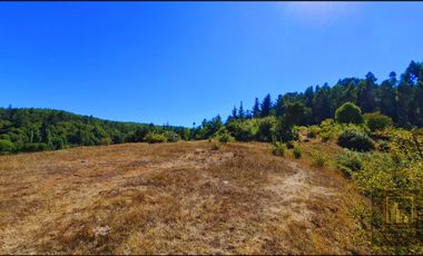 Parcela en venta en NACIMIENTO