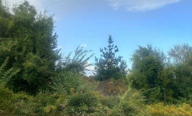 Parcela en venta en HUALQUI