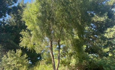 Parcela en venta en HUALQUI