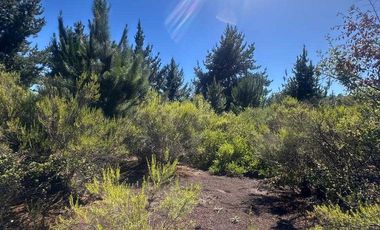 Parcela en venta en HUALQUI