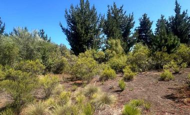 Parcela en venta en HUALQUI