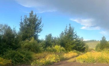 Parcela en venta en HUALQUI