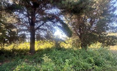 Parcela en venta en HUALQUI