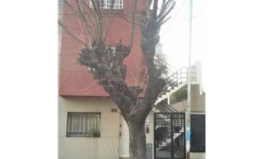 DEPARTAMENTO 1 AMBIENTE