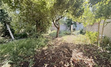 LATORRE PROP. VENDE CHALET 4 AMB CON PARQUE - CAISAMAR