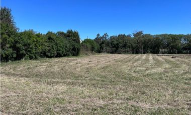 LATORRE PROP VENDE LOTE DE 850 M2 M2 A 300 METROS DEL MAR