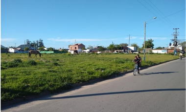 LATORRE PROP VENDE   FRACCION DE 5900 M2