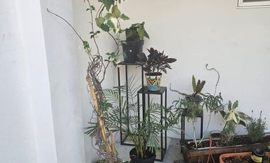 ACOGEDORA CASA AMUEBLADA EN RENTA EN CONDOMINIO AL NORPONIENTE DE AGS