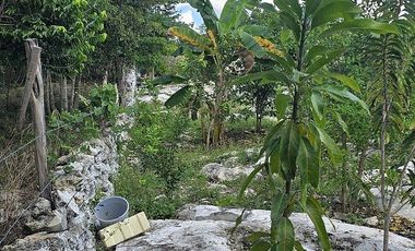 ¡Espectacular Casa tipo Quinta, en Venta! árboles frutales y Piscina