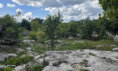 ¡Espectacular Casa tipo Quinta, en Venta! árboles frutales y Piscina