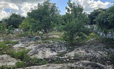 ¡Espectacular Casa tipo Quinta, en Venta! árboles frutales y Piscina