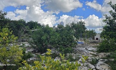 ¡Espectacular Casa tipo Quinta, en Venta! árboles frutales y Piscina