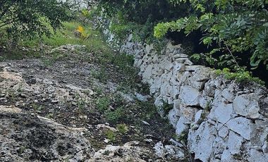 ¡Espectacular Casa tipo Quinta, en Venta! árboles frutales y Piscina