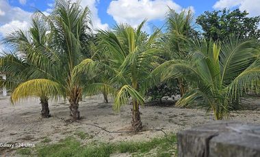 ¡Espectacular Casa tipo Quinta, en Venta! árboles frutales y Piscina