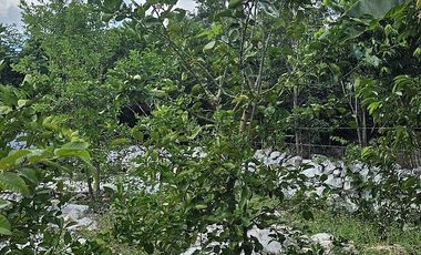 ¡Espectacular Casa tipo Quinta, en Venta! árboles frutales y Piscina