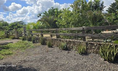 ¡Espectacular Casa tipo Quinta, en Venta! árboles frutales y Piscina