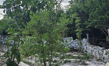 ¡Espectacular Casa tipo Quinta, en Venta! árboles frutales y Piscina