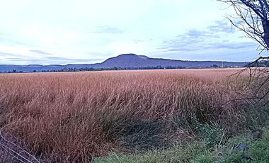Terreno en venta Junto a Balneario Agua Caliente
