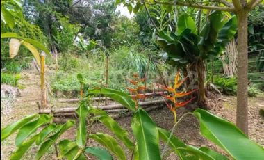 ALQUILER CASA  HOLISTICA CAMPESTRE