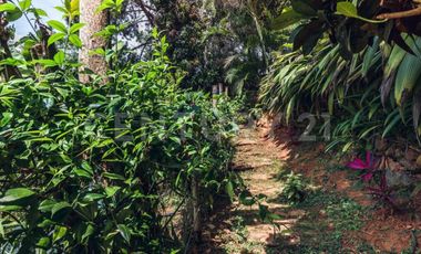 ALQUILER CASA  HOLISTICA CAMPESTRE