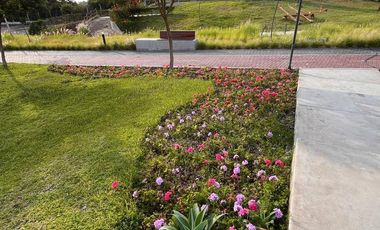 Terreno en CAÑETE