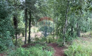 Casa en Parcela Villarrica