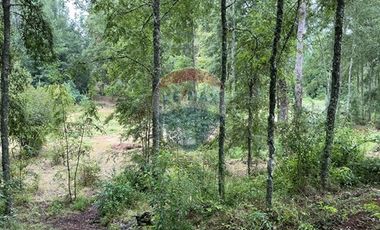 Casa en Parcela Villarrica