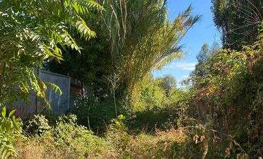 Casa antigua en amplio terreno en Machalí