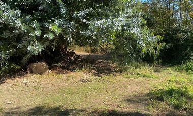 Casa antigua en amplio terreno en Machalí