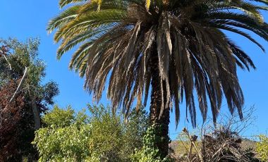Casa antigua en amplio terreno en Machalí